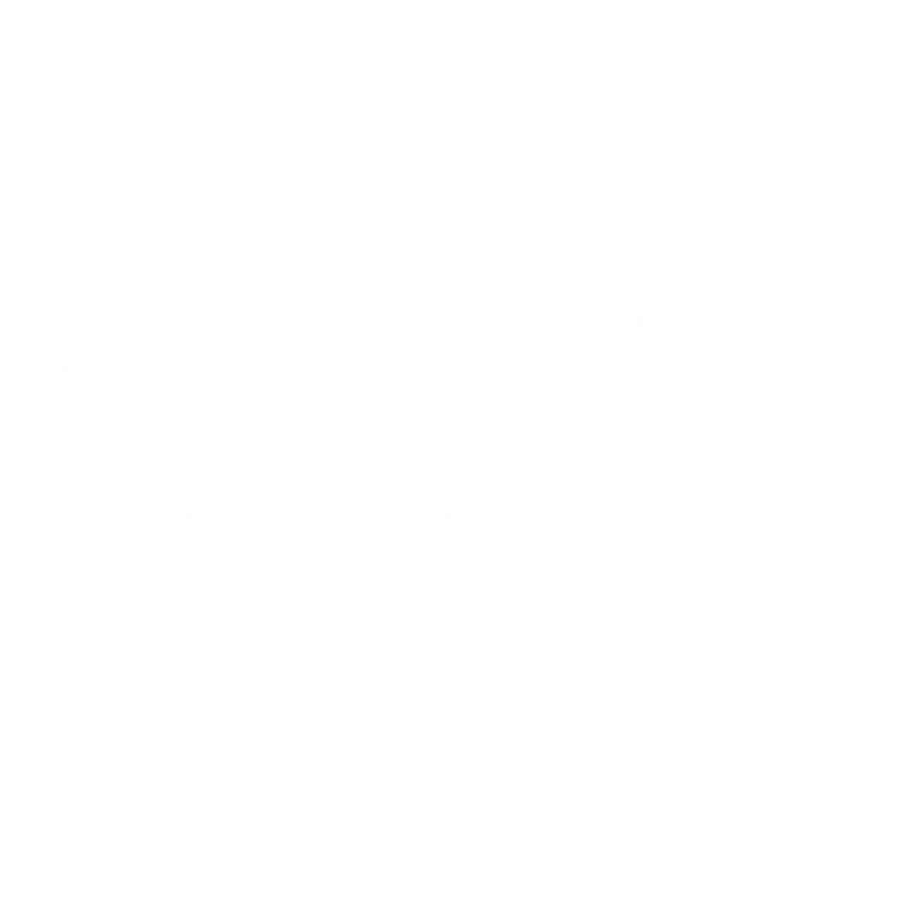 سوليد